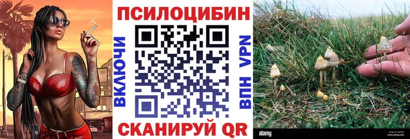 закладки Электроугли Псилоцибиновые грибы мухоморы